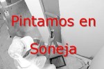 pintor_soneja.jpg