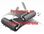 pintor_mata-de-morella.jpg